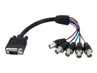 StarTech.com Câble d'écran coaxial VGA vers 5x BNC RGBHV de 30cm - Câble adapatateur / Cordon HD15 vers vidéo BNC - Mâle / Femelle - Câble VGA - BNC (F) pour HD-15 (VGA) (M) - 30 cm - noir VGABNCMF1