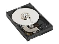 Dell - Disque dur - 2 To - échangeable à chaud - 3.5" - SATA 6Gb/s - 7200 tours/min 400-AEGG