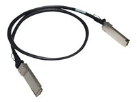 HPE - Câble d'attache directe 100GBase - QSFP28 pour QSFP28 - 50 cm - pour P/N: Q9E63A R8M59A
