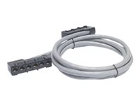 APC Data Distribution Cable - Câble réseau - Conformité TAA - RJ-45 (F) pour RJ-45 (F) - 10.7 m - UTP - CAT 5e - gris DDCC5E-035