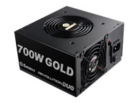 Enermax REVOLUTION DUO ERD700AWL-F - Alimentation électrique (interne) - ATX12V 2.4 - 80 PLUS Gold - CA 115-240 V - 700 Watt - PFC active ERD700AWL-F DUO 700