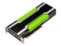 NVIDIA Tesla M60 - Processeur de calcul - 2 GPUs - Tesla M60 - 16 Go GDDR5 - PCIe 3.0 x16 - san ventilateur TCSM60M-R2L-PB