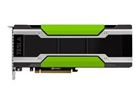 NVIDIA Tesla P100 - Processeur de calcul - Tesla P100 - 12 Go HBM2 - PCIe 3.0 x16 - san ventilateur TCSP100M-12GB-PB