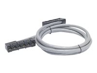 APC Data Distribution Cable - Câble réseau - Conformité TAA - RJ-45 (F) pour RJ-45 (F) - 5.2 m - UTP - CAT 5e - colonne montante - gris DDCC5E-017