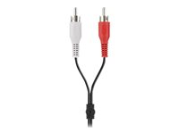 Belkin - Câble audio - RCA x 2 (M) pour mini jack stéréo (M) - 5 m - blindé F3Y110BF5M