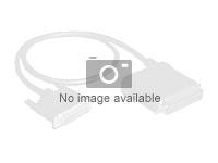 Lenovo ThinkSystem - Kit de câbles de stockage - pour ThinkSystem SR250 V2 7D7Q, 7D7R 4X97A81455